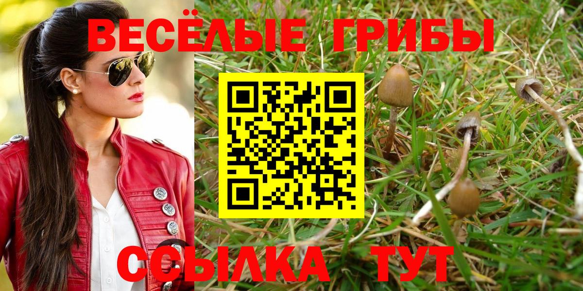 Псилоцибиновые грибы ЛСД Белорецк