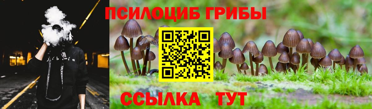 Галлюциногенные грибы GOLDEN TEACHER  Галлюциногенные грибы Magic Shrooms  Белорецк  Вход с VPN 